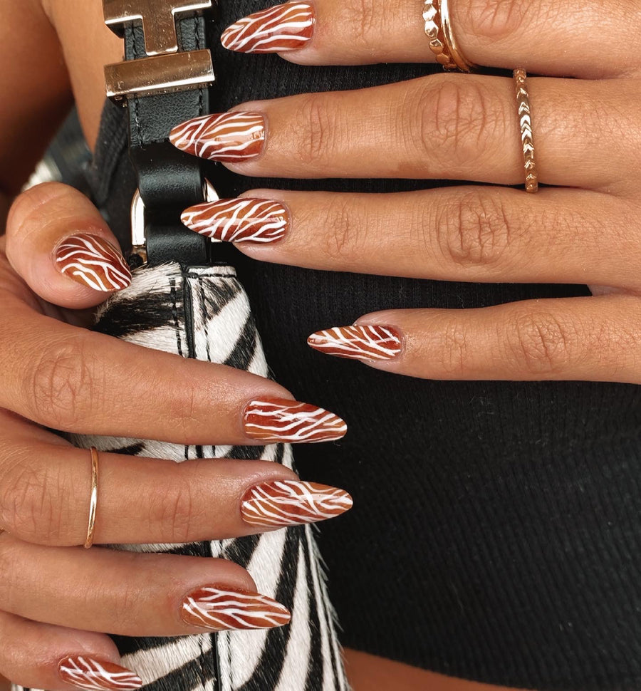 Neutral Zebra Vibes